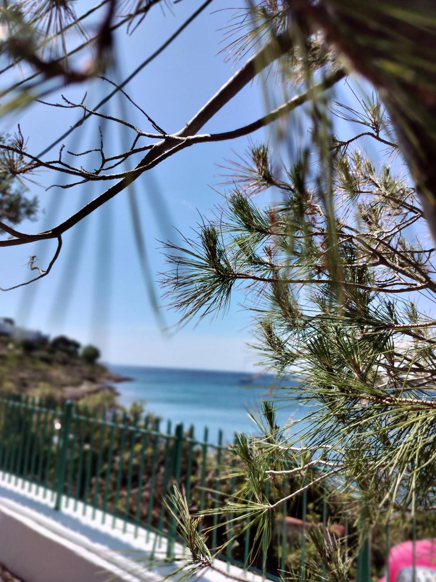 Cap Sounion Seafront Apartments -Adults Only Екстер'єр фото